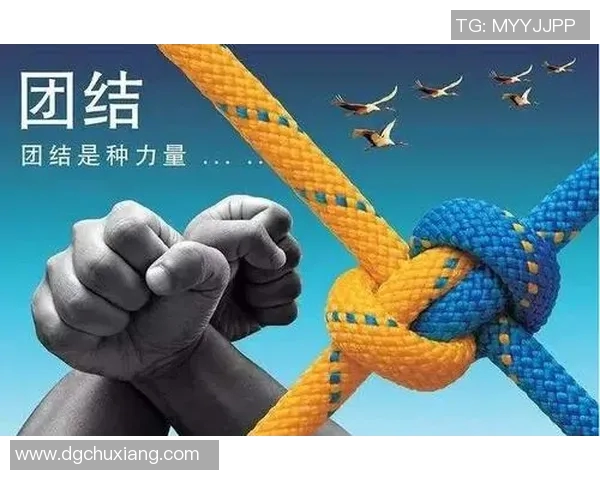 北京排球队意识探讨：提升团队协作与战术执行力的关键因素分析