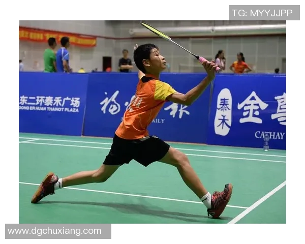 南京羽毛球队挑战赛表现分析与状态评估全面解读